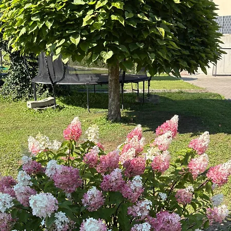 Birds No 11 Сasa de vacaciones